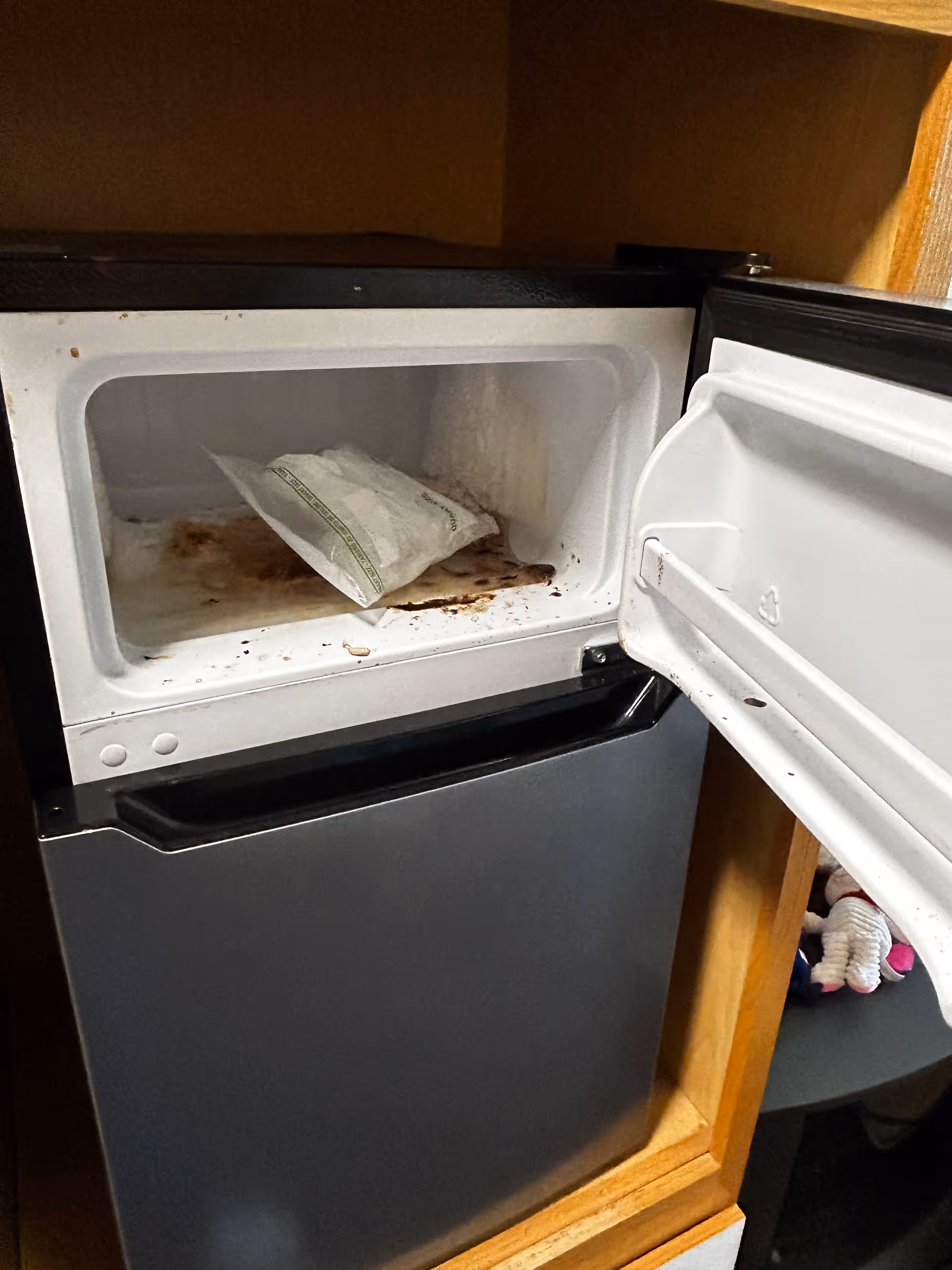 Open microwave reveals dirty interior and a bag, in a kitchen cabinet.