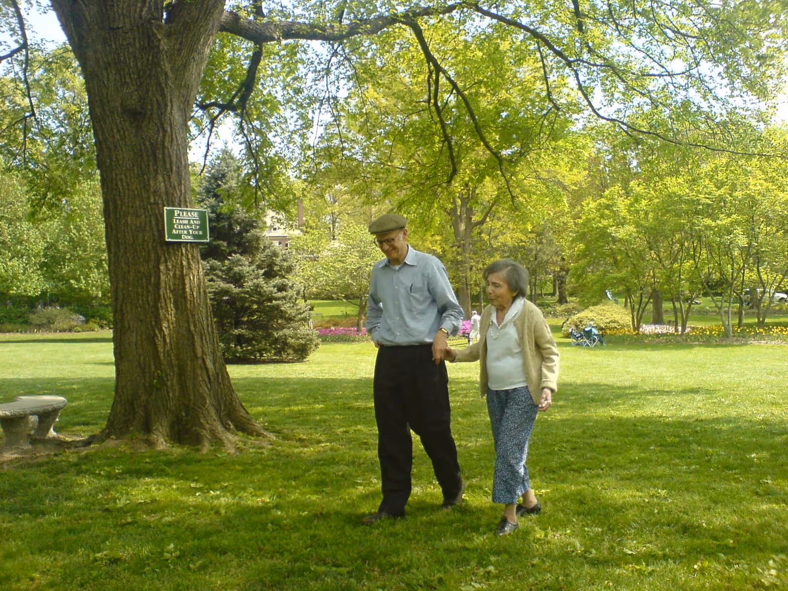 An elderly man and woman walking hand in hand on a grassy area in a park-like setting with trees and shrubs around them. A large tree with a sign that reads 'Please leash and clean up after your dog' is visible nearby, along with a stone bench.