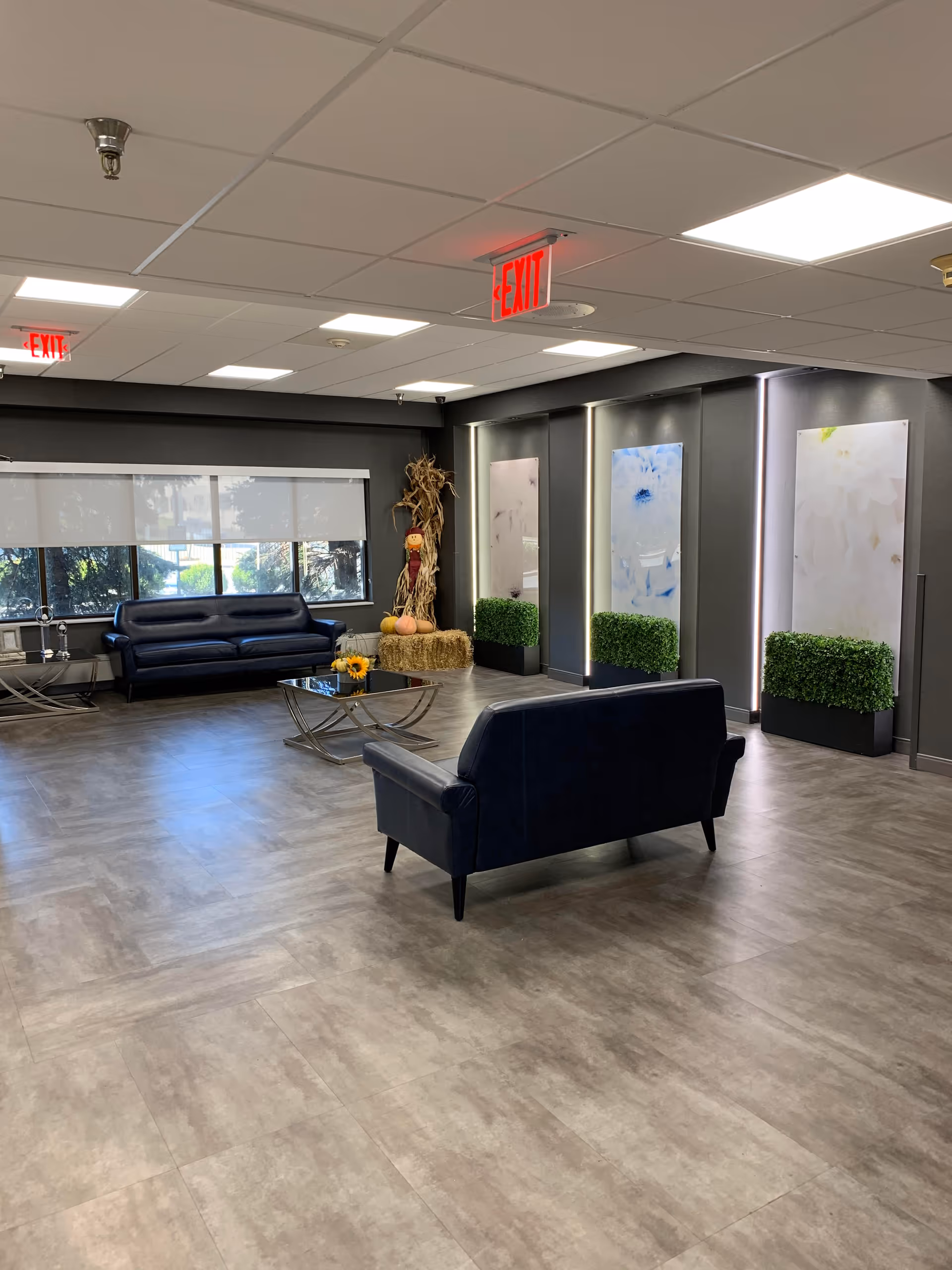 Modern senior facility lounge with blue couches, a glass coffee table, and plants.