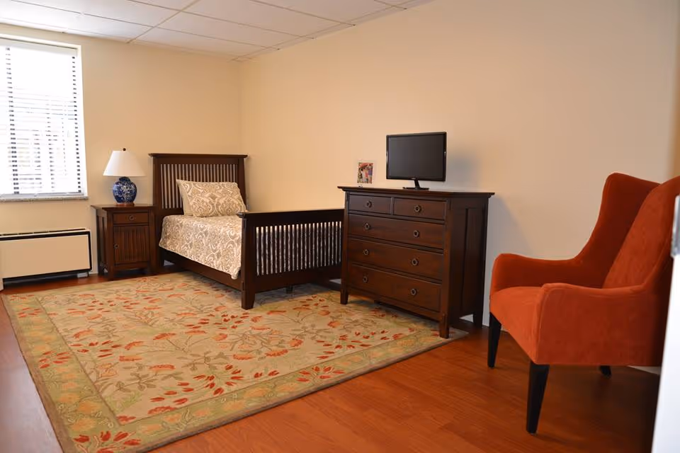 Furnished bedroom with a single wooden bed, nightstand and lamp, dresser with a small TV, patterned area rug, and an orange armchair.
