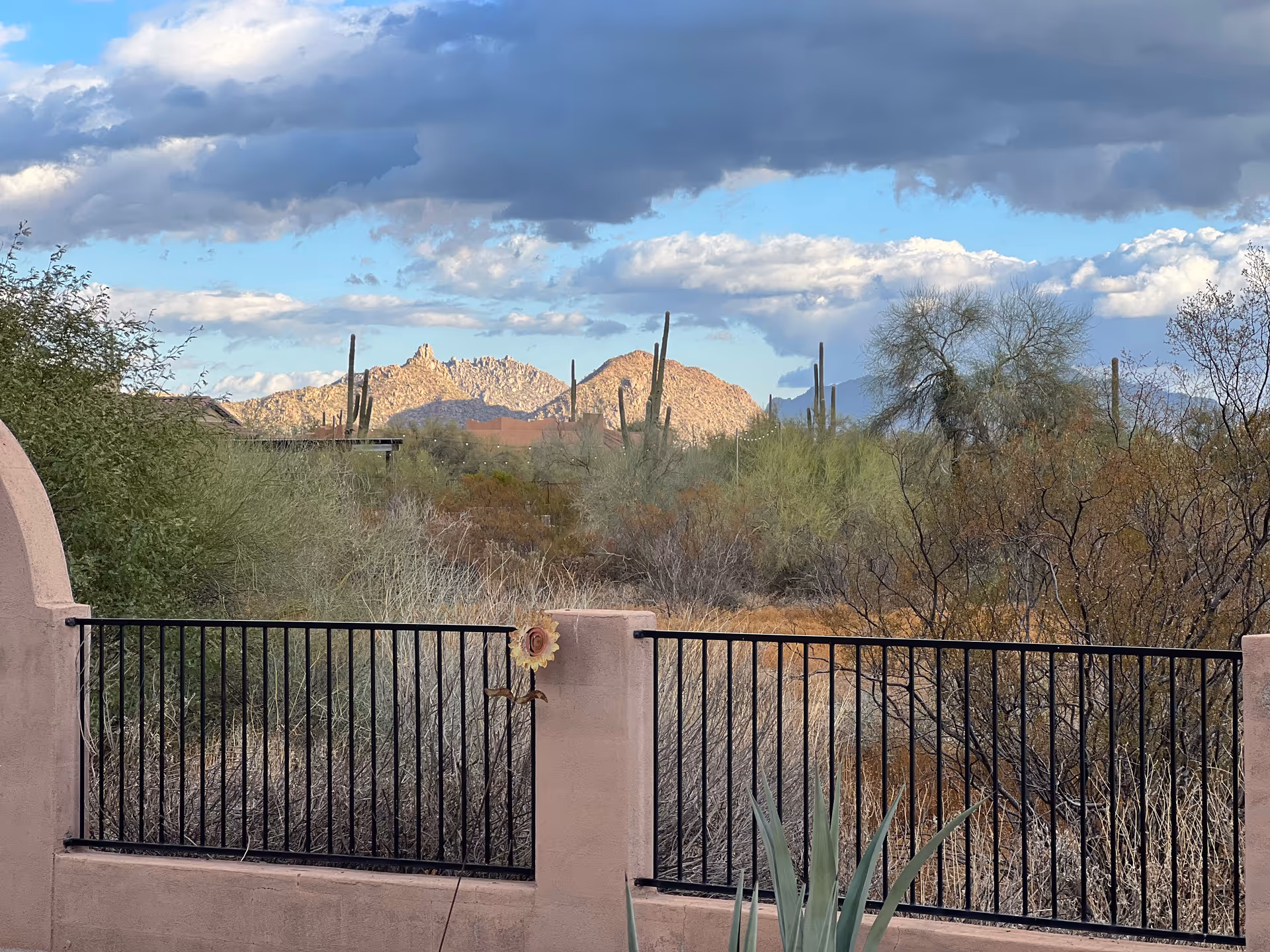 Desert landscape with railing, cacti, shrubs, and distant mountains.