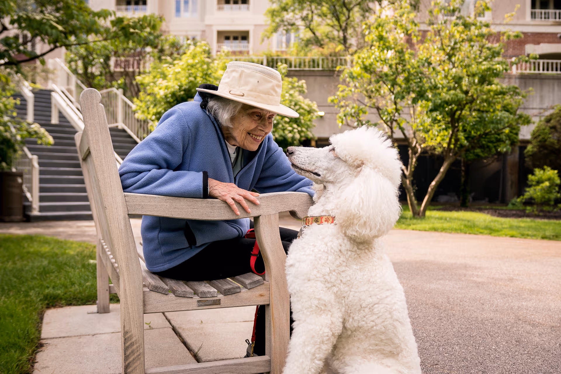 Elderly woman in blue jacket smiles at a white poodle on a wooden outdoor bench