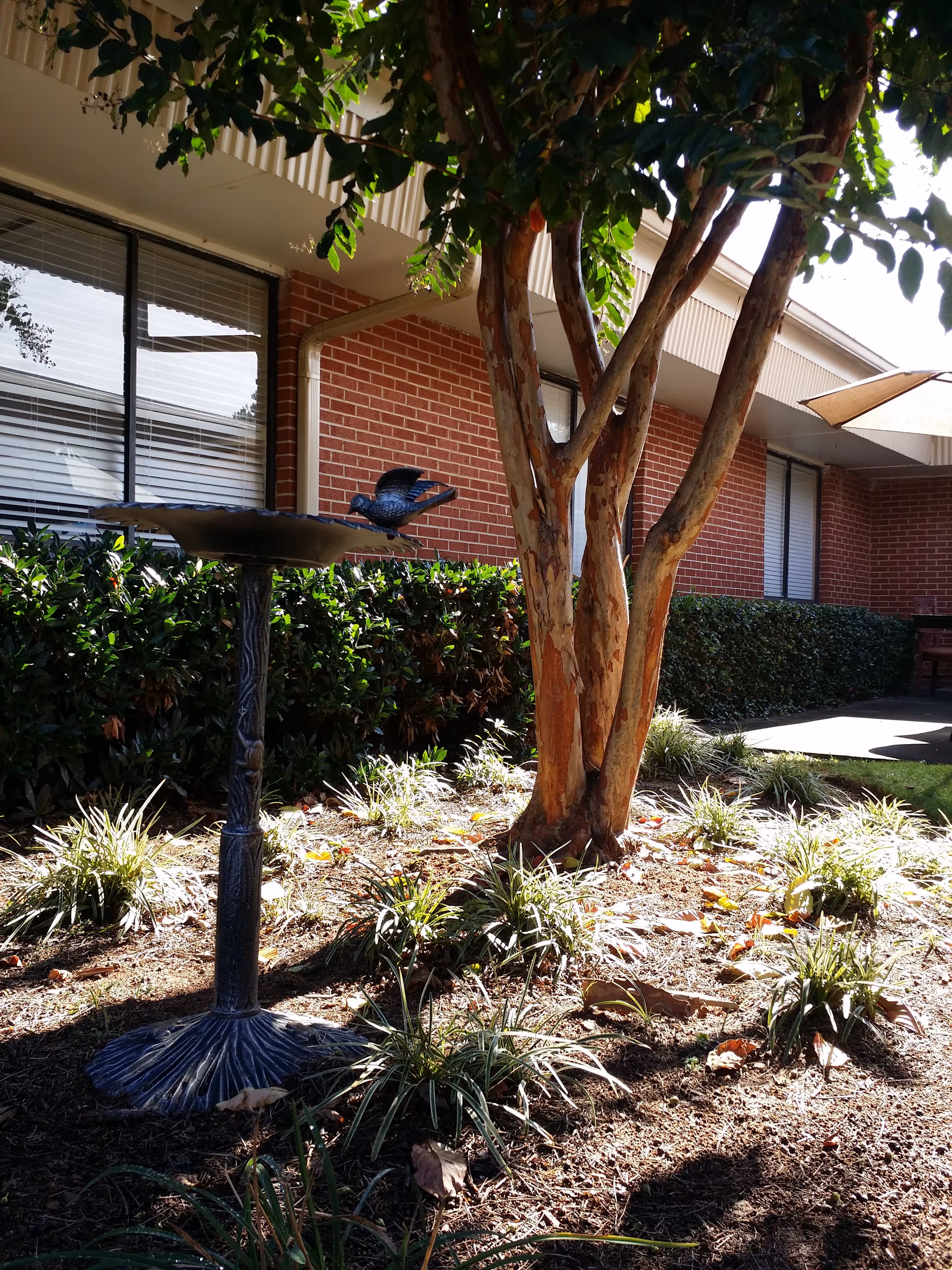 Outdoor courtyard at Westbury Mcdonough featuring a tree, bird statue, and surrounding shrubs.