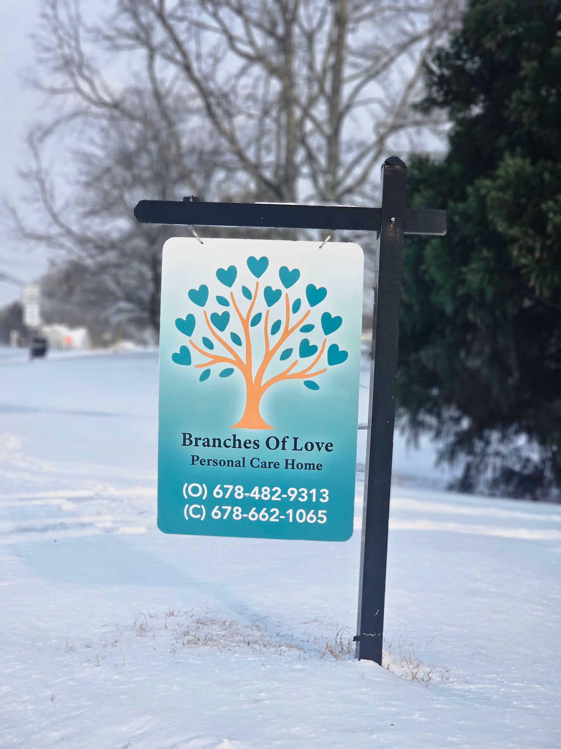 Teal Branches Of Love Personal Care Home sign mounted on a black post in snow.