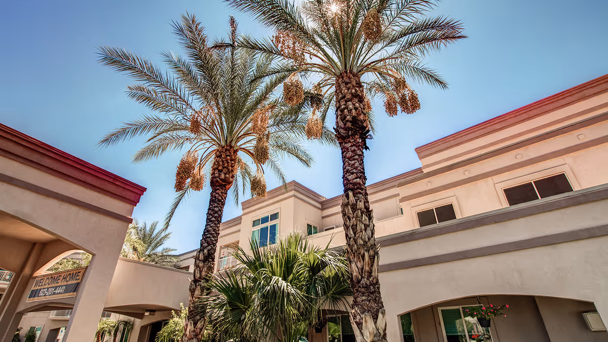 Exterior view of a two-story senior living building entrance framed by tall palm trees under a clear blue sky.