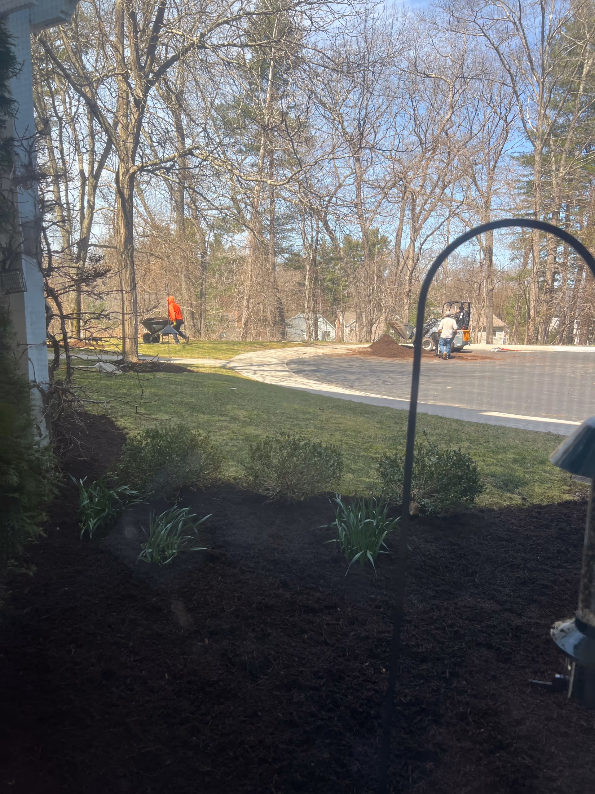 Outdoor view of a landscaped area with two people near a curved driveway and trees.
