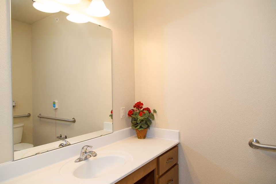 Bathroom vanity with sink, mirror, plant, and accessible grab bars at Carefree living.
