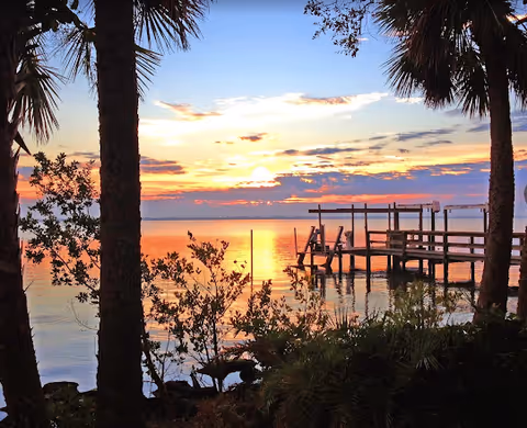 Sunset over calm water with palm trees, a wooden dock, and silhouetted plants.