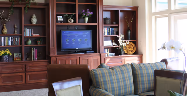 Cozy living room with built-in wooden shelves and a TV, upholstered sofas with plaid cushions, and decorative plants and books.