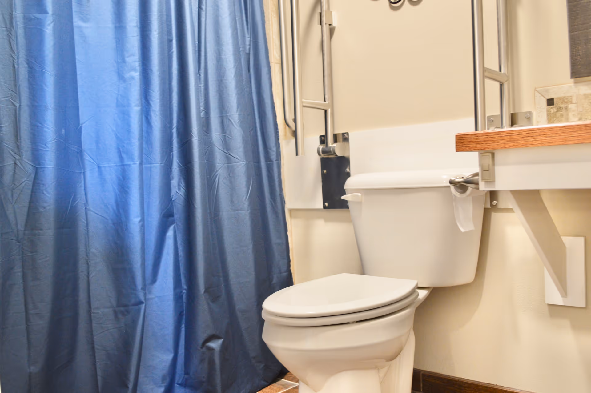 Bathroom featuring a blue shower curtain, toilet, and wooden counter under the sink.