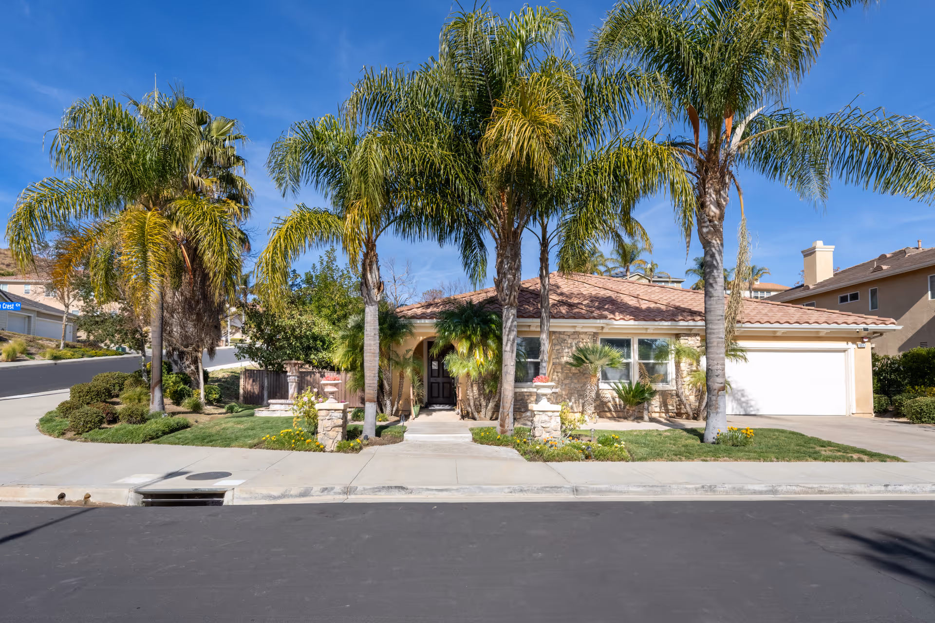 Single-story house with palm trees and a manicured front yard along a sunny street