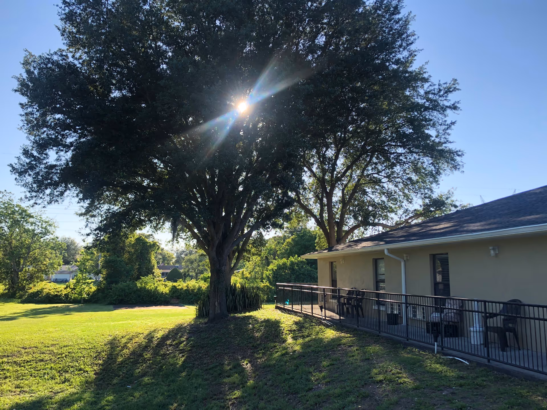 Sunlit lawn, large tree, and a single-story facility with shaded outdoor seating.