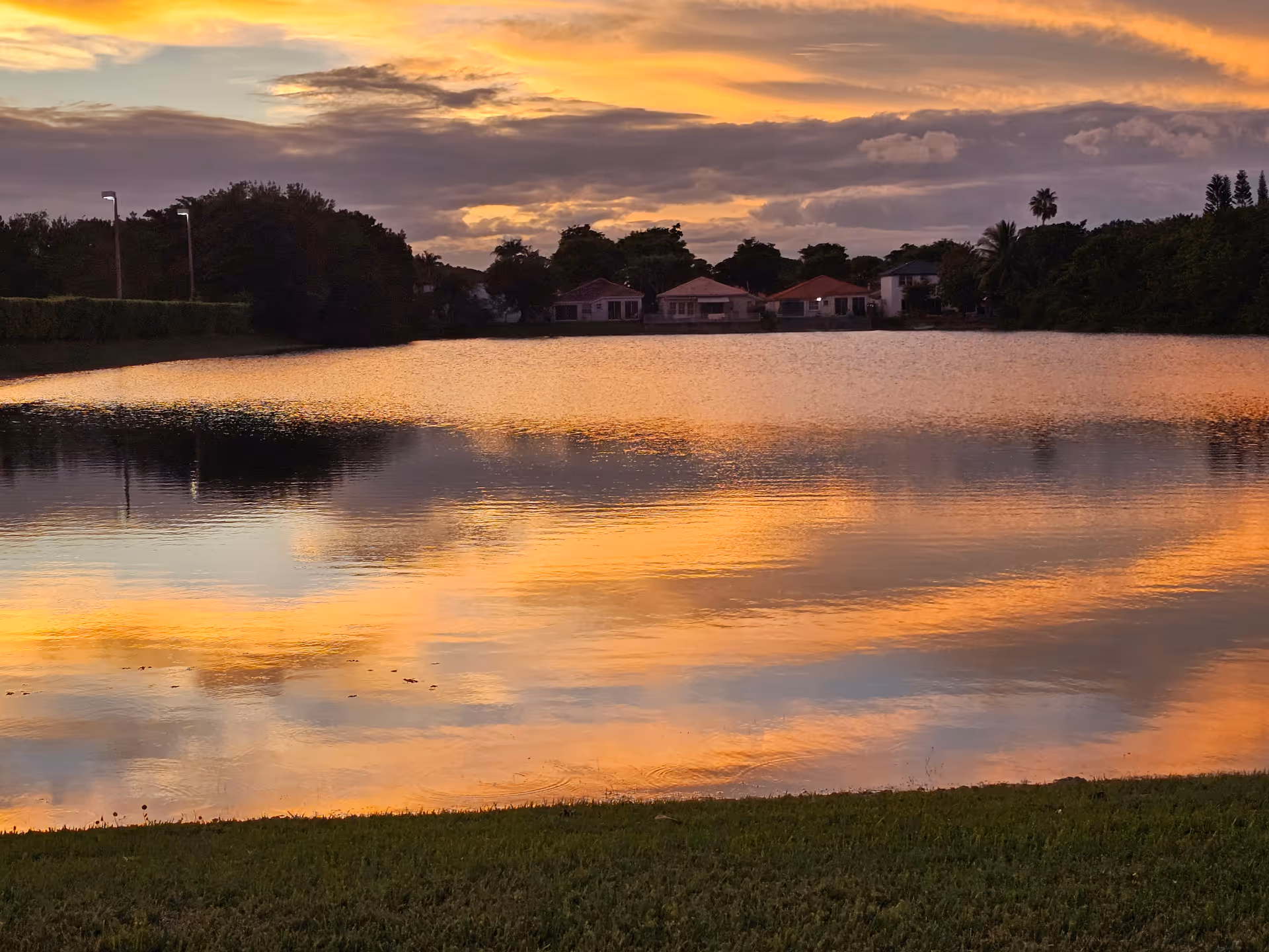 Sunset over a calm lake with a grassy bank and tree-lined houses beyond