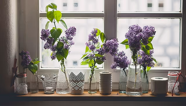 Lilac flowers in glass jars line a sunlit windowsill inside a room.