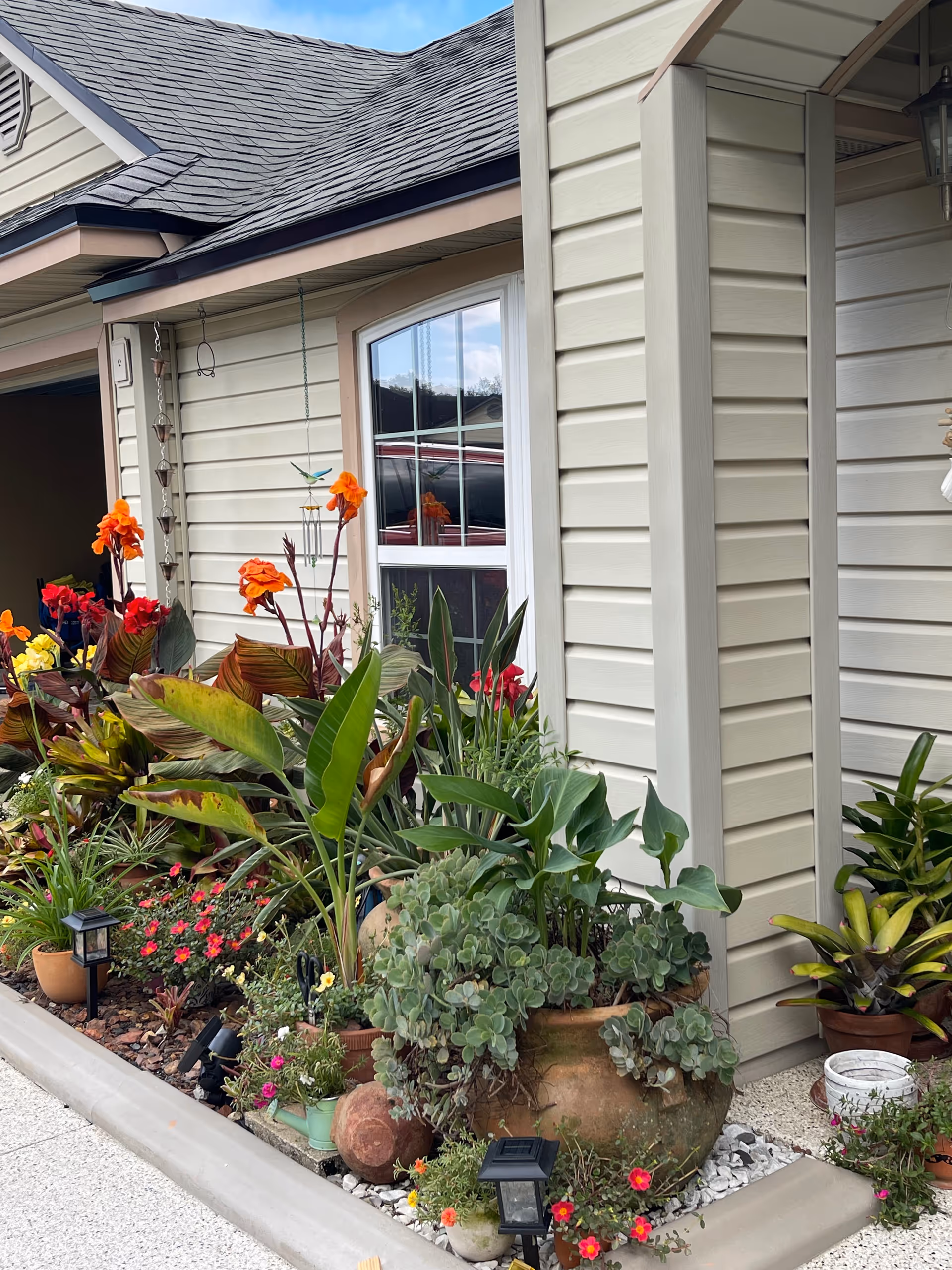 Exterior of a building with a lush potted garden along the wall.