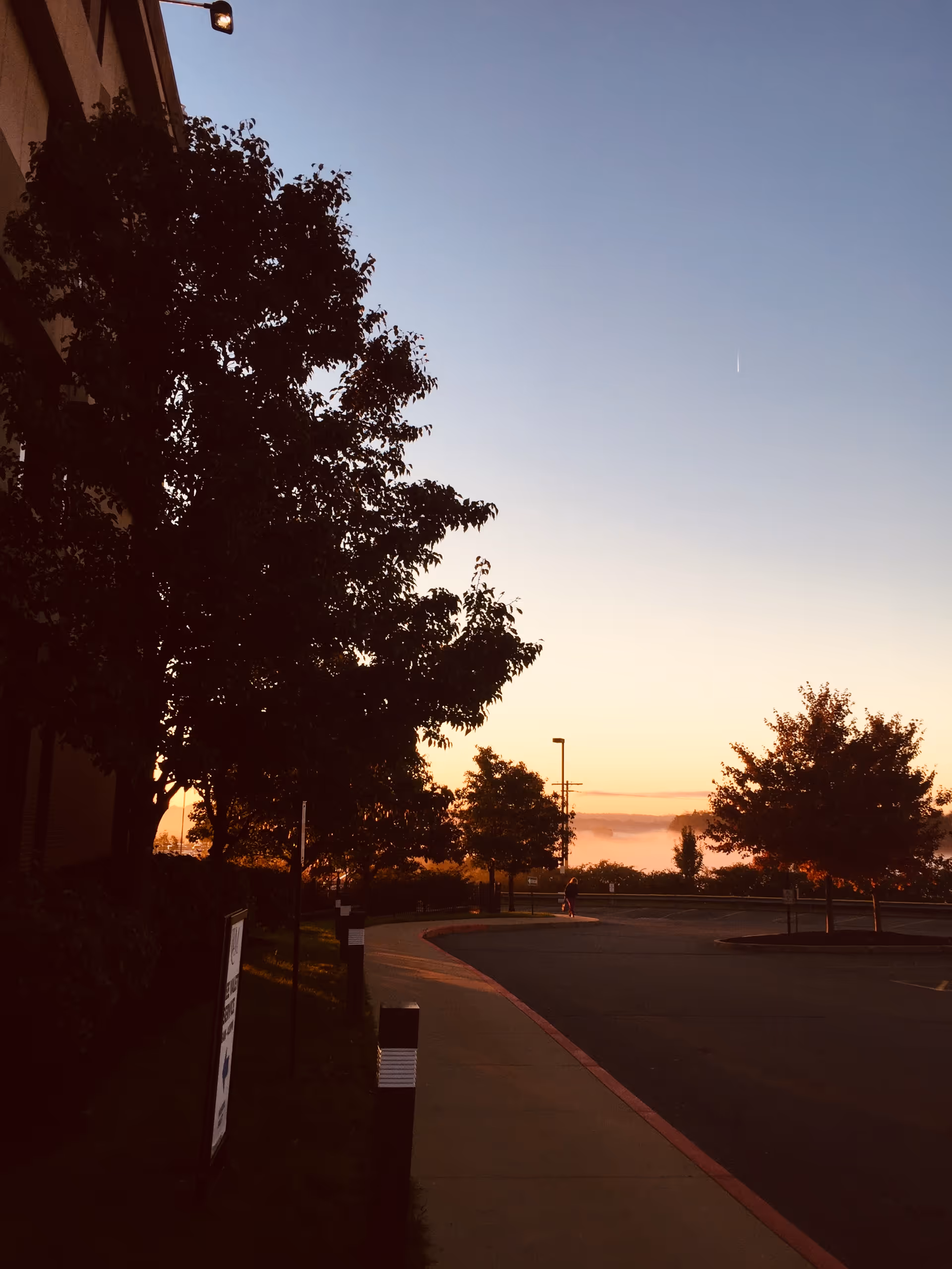 Sunset over a hospital exterior with trees, a curved sidewalk, and parking.