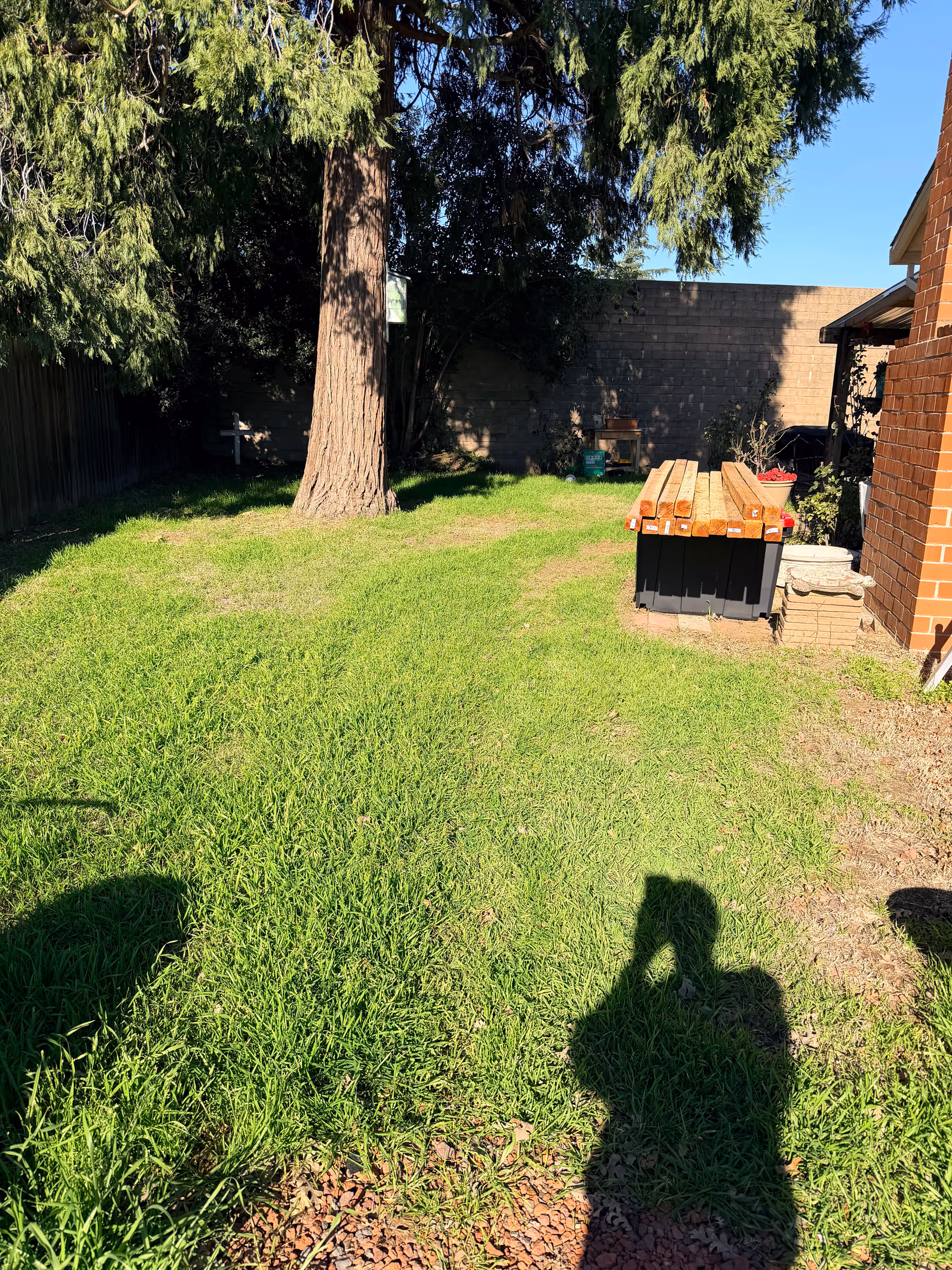 An outdoor yard with a tree, grass, a brick building, and stacked lumber.