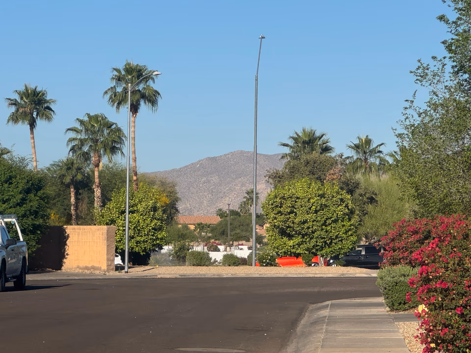 Street view with palm trees, shrubs, and distant mountains under blue sky.