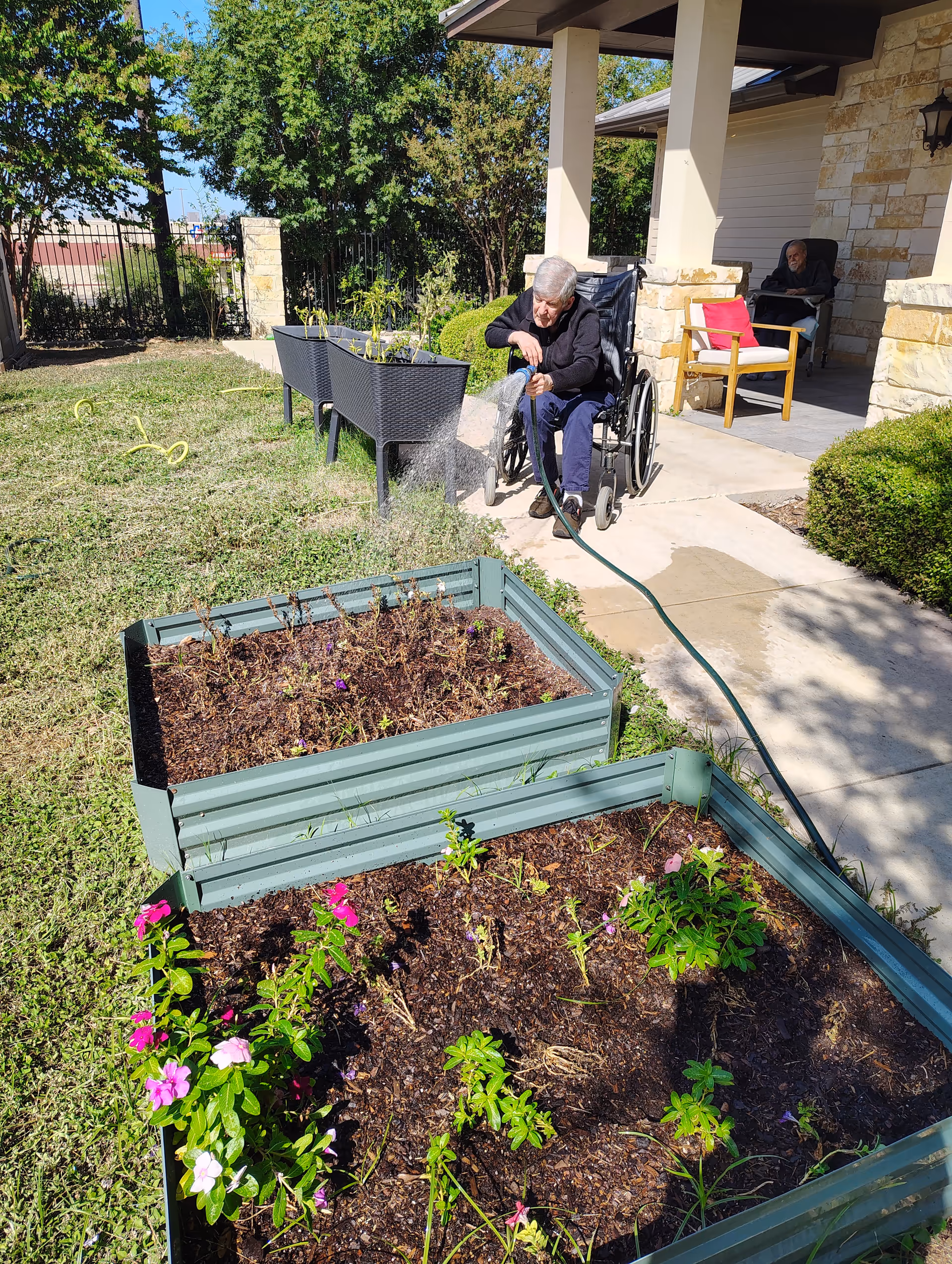 Elderly man in a wheelchair waters garden beds outside Seasons Alzheimer(s) Care and Assisted Living.