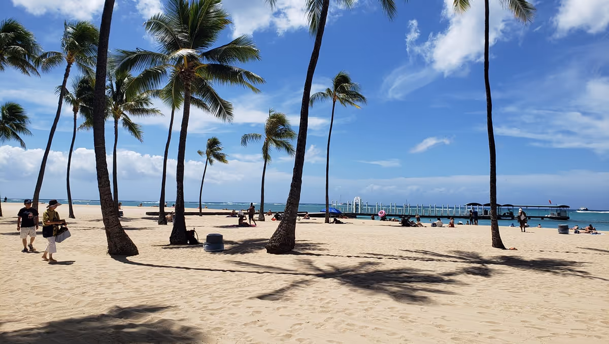 Sunny beach scene with palm trees and people relaxing on sand by a pier.