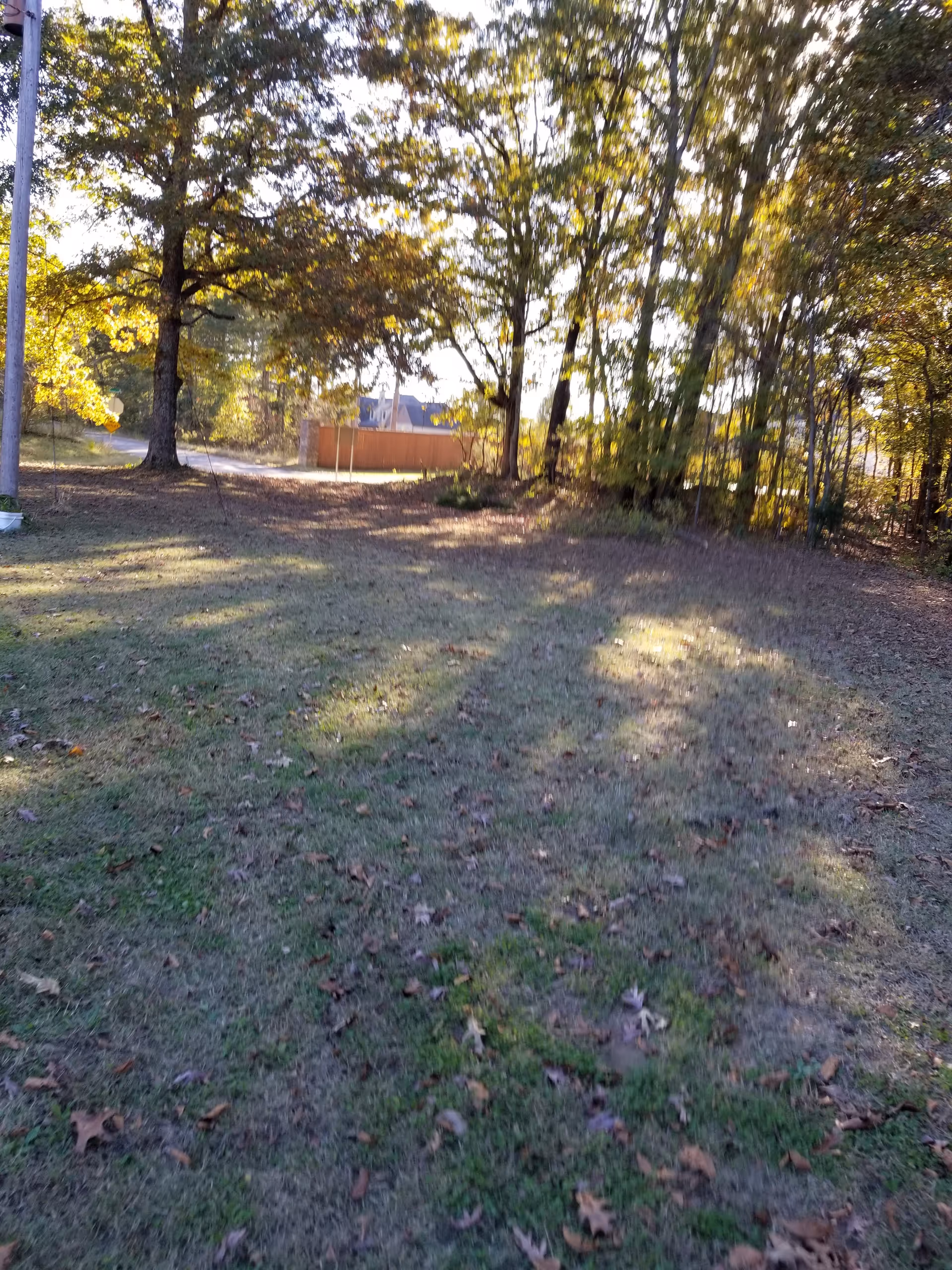 Outdoor grassy yard with trees and a fence beside a building.
