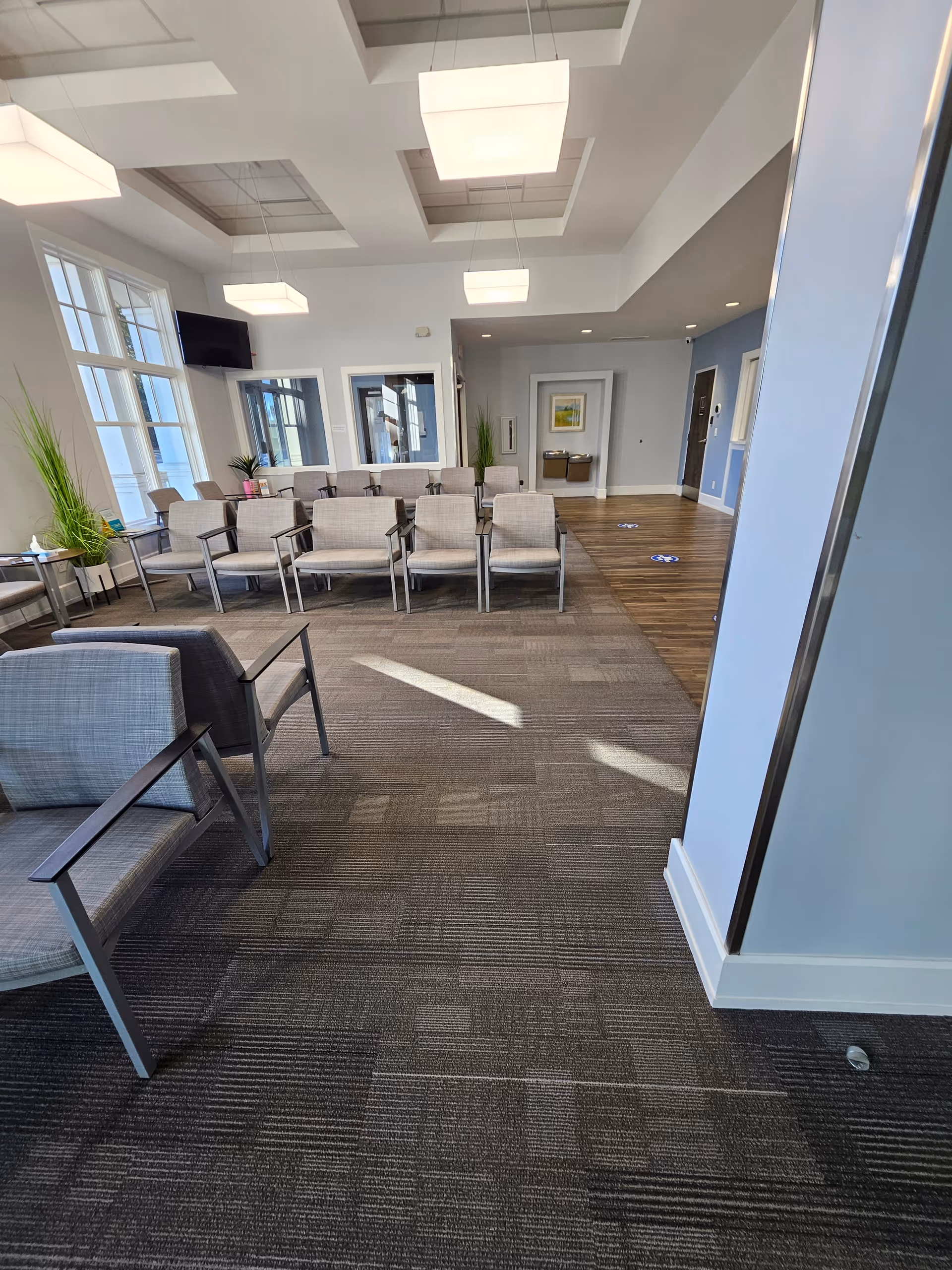 Bright modern waiting area with row seating, plants, and large windows.