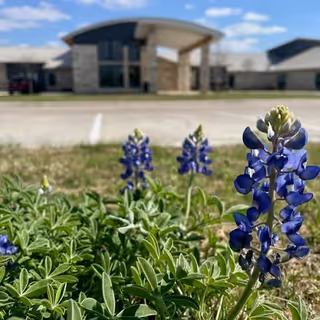 Close-up blue flowers in foreground with The Brixton at Horseshoe Bay exterior in background.