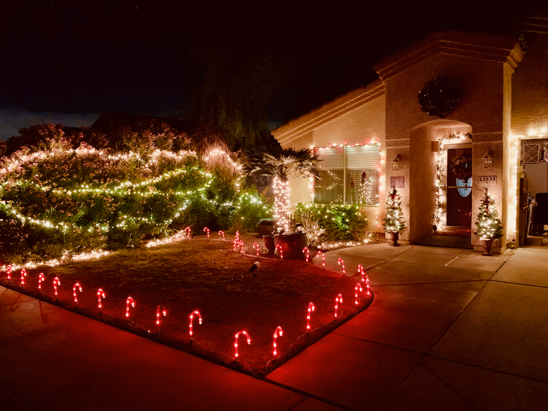 Night exterior of Desert Palms Adult Care Home with illuminated holiday lights along shrubs and doorway.