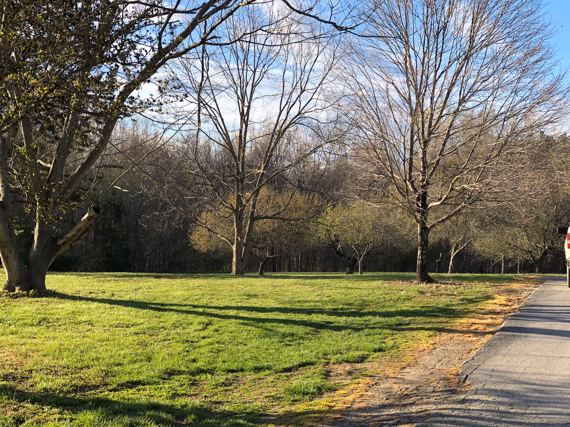 Open grassy area with leafless trees and a paved roadside path.
