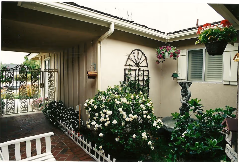 Outdoor courtyard with white flowering bushes, hanging baskets, brick path, and decorative trellis.