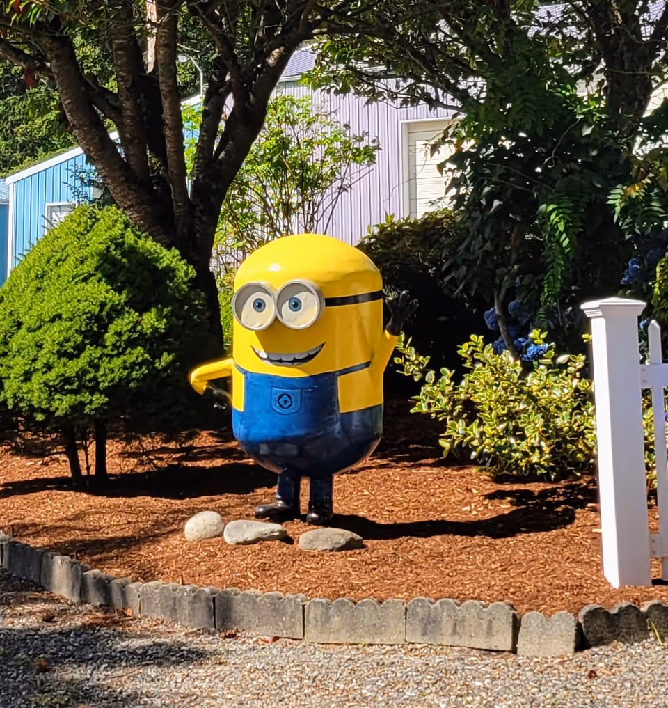 A cheerful Minion statue stands in a landscaped outdoor front yard.