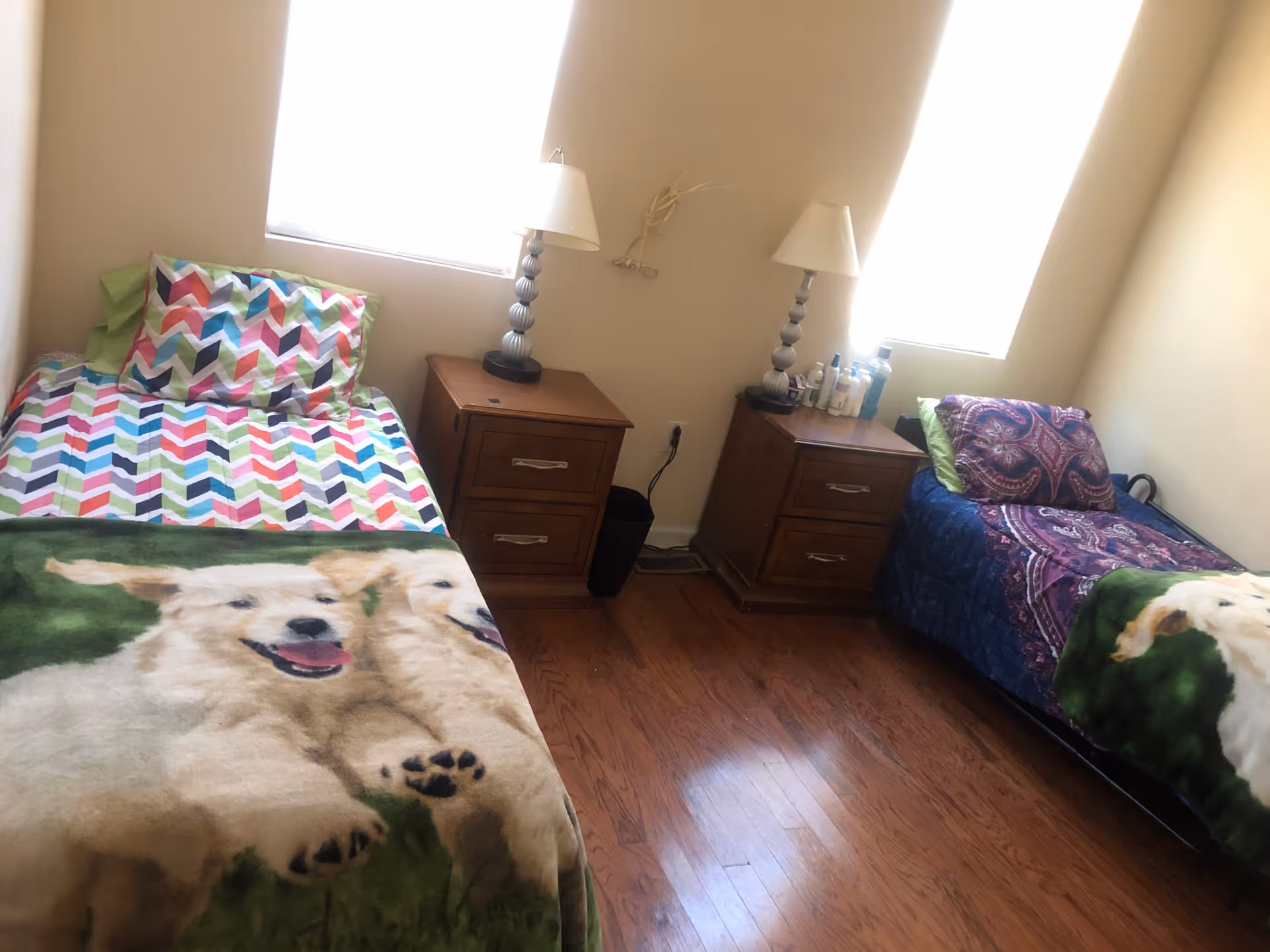 Two single beds with colorful bedding and dog-printed blankets, two wooden nightstands with lamps, hardwood floors and tall windows in a small bedroom.