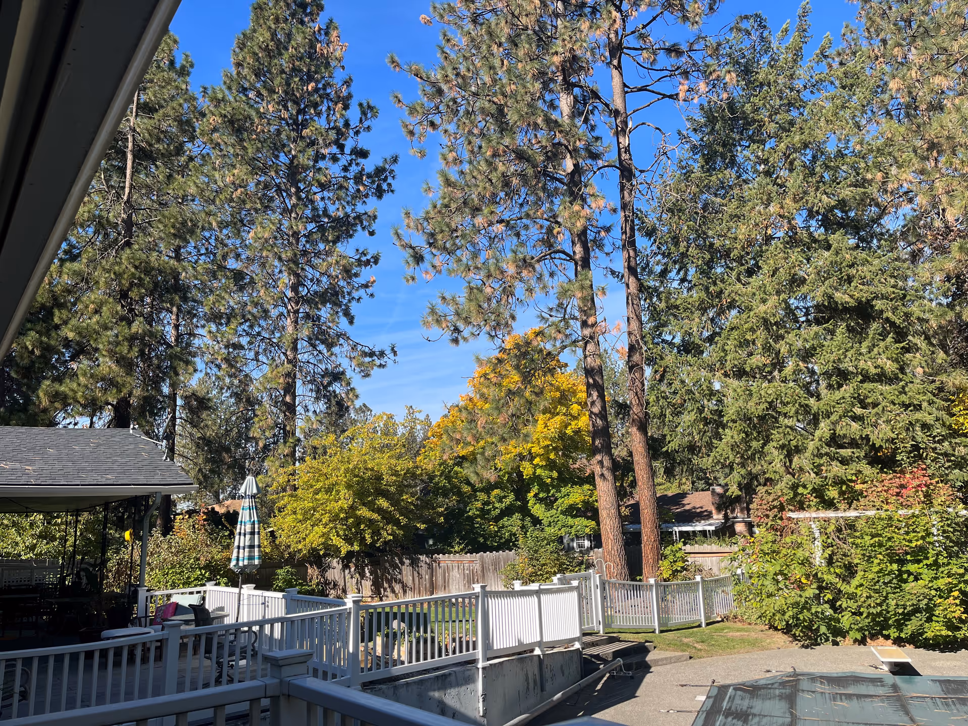 Outdoor fenced patio with trees, railing, umbrella, and seating near a senior living home.