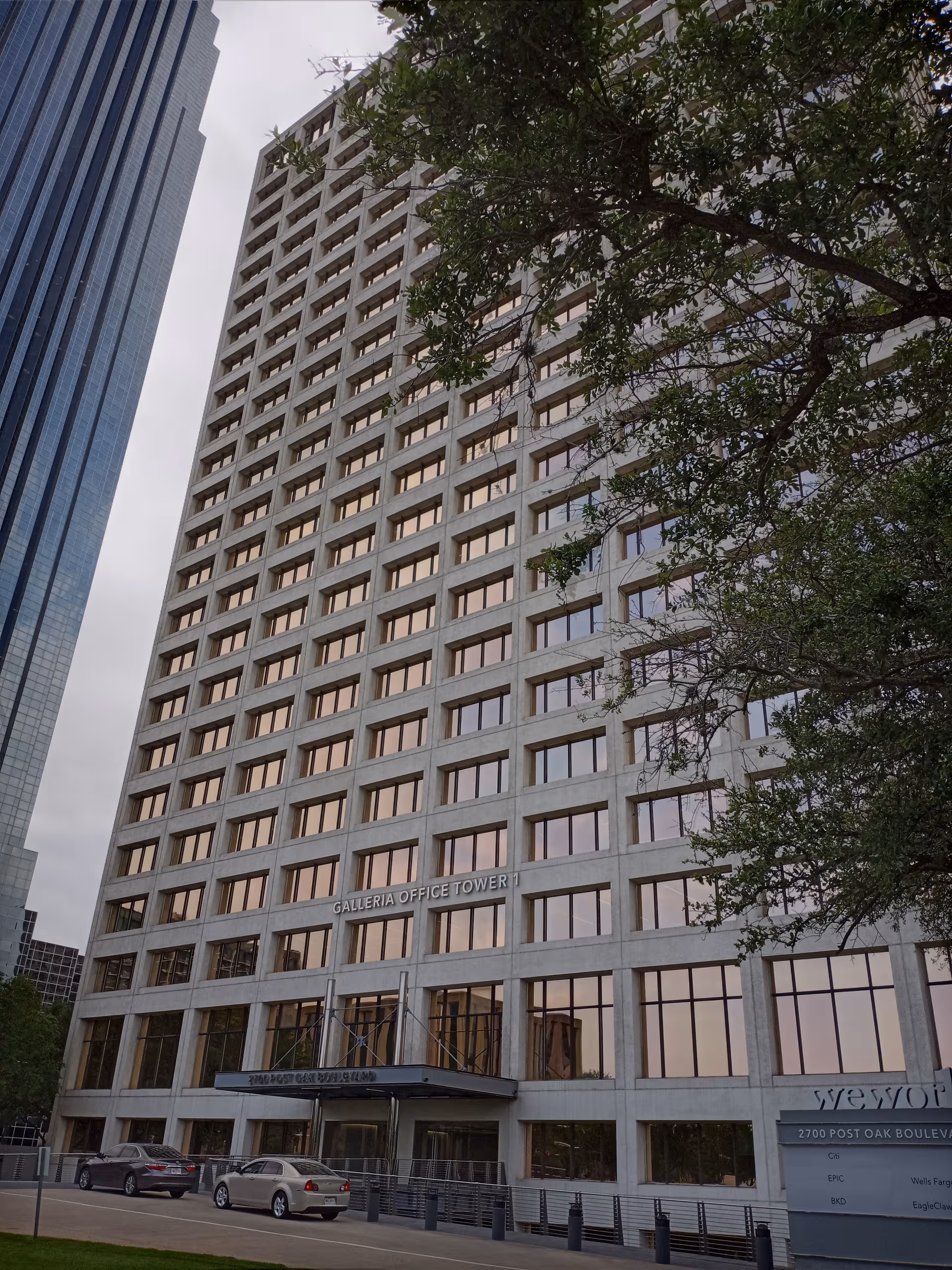 Tall modern office tower with many windows and a tree partially covering the façade.