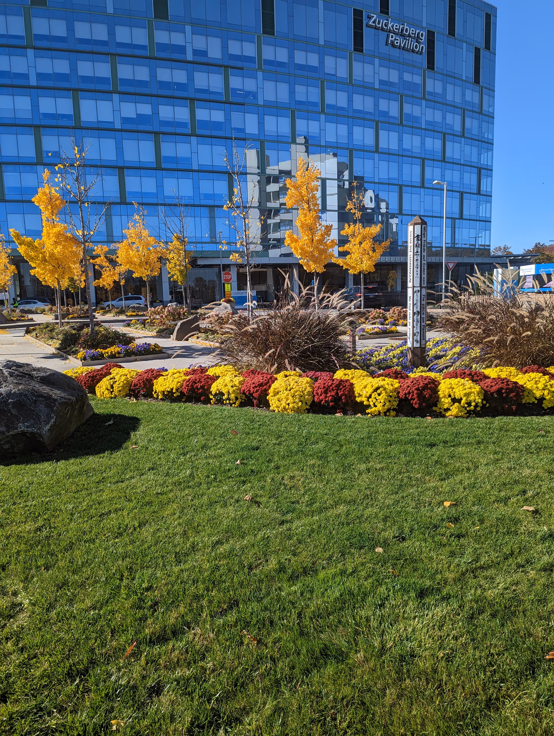 Exterior glass-front building with autumn trees and colorful flower beds in front.