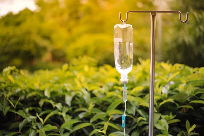 IV drip bag hanging on a stand outdoors among green shrubs