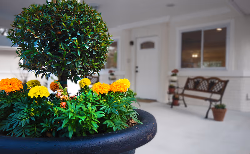 Front porch of Oak Village with potted plants, a bench, and a white entrance door.