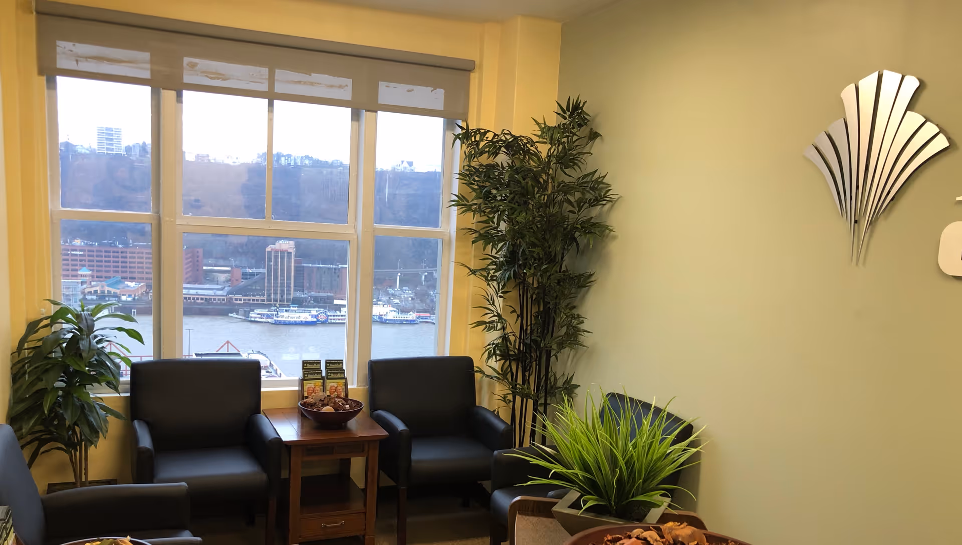 Sunlit waiting area in Moravia Health Pittsburgh with black chairs and plants.