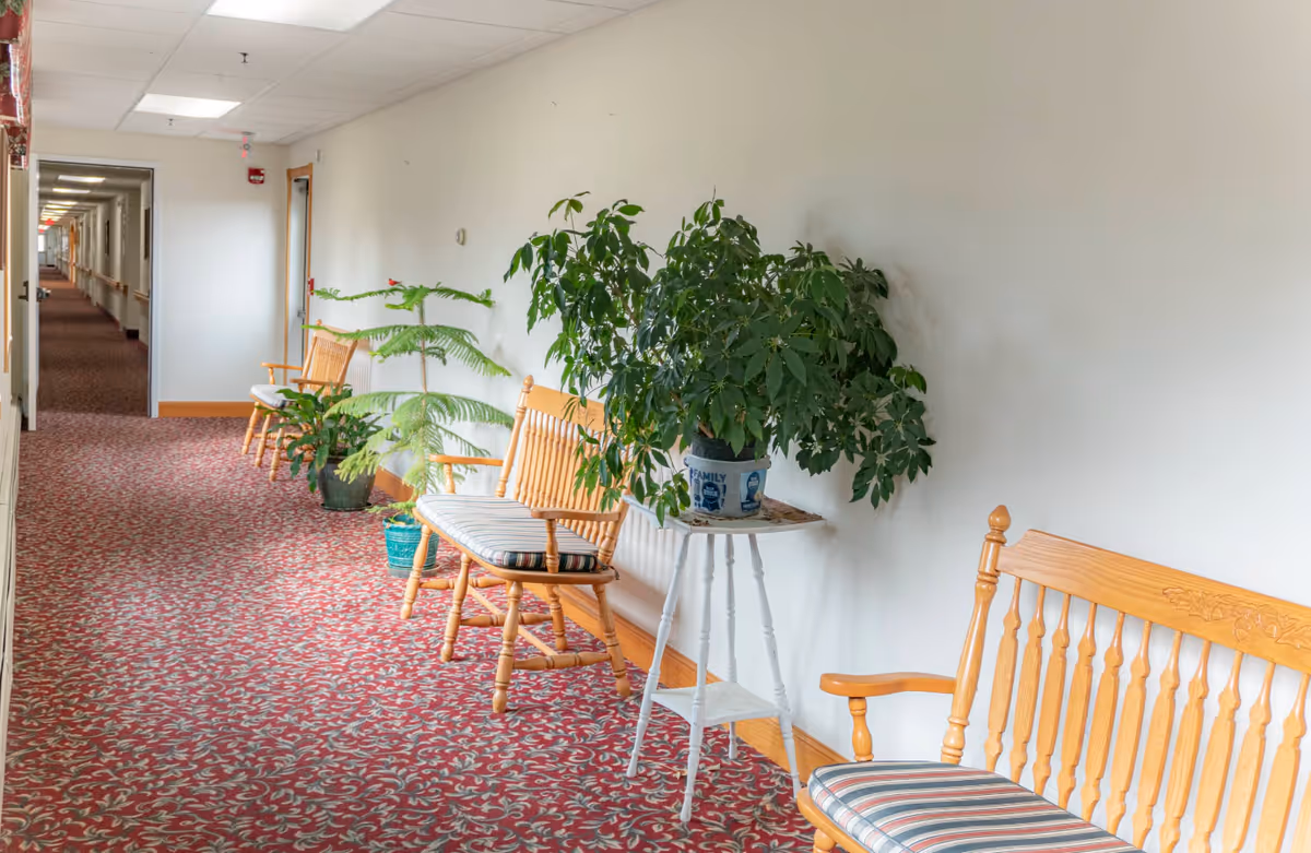 Long hallway with red patterned carpet, wooden chairs, and potted plants along the walls.