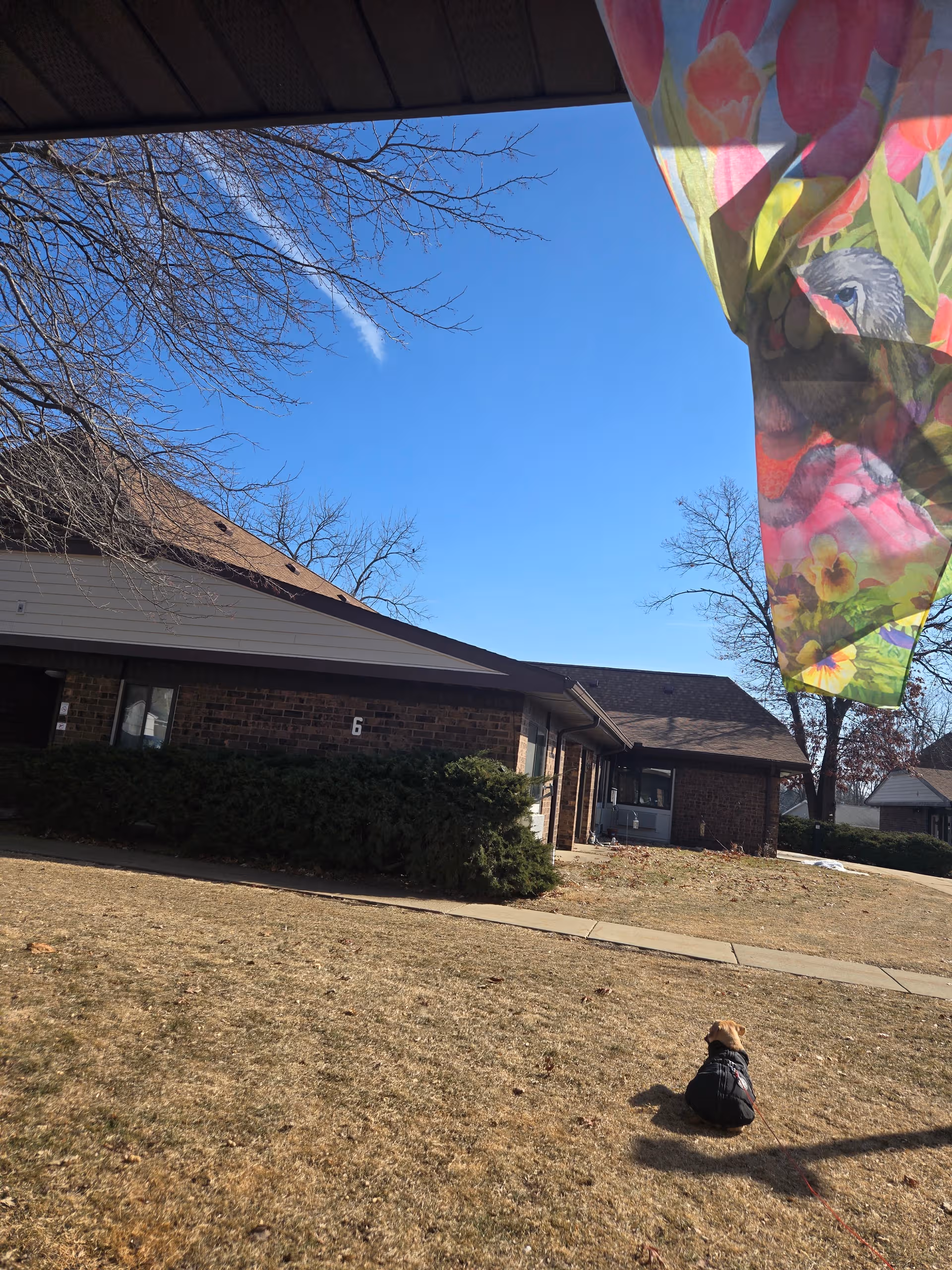 Front view of Leisure Acres facility with brick building, banner, bushes, and a dog on lawn.
