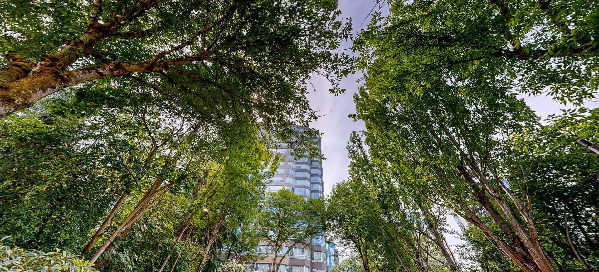 Tall modern building framed by lush trees, viewed from ground level.