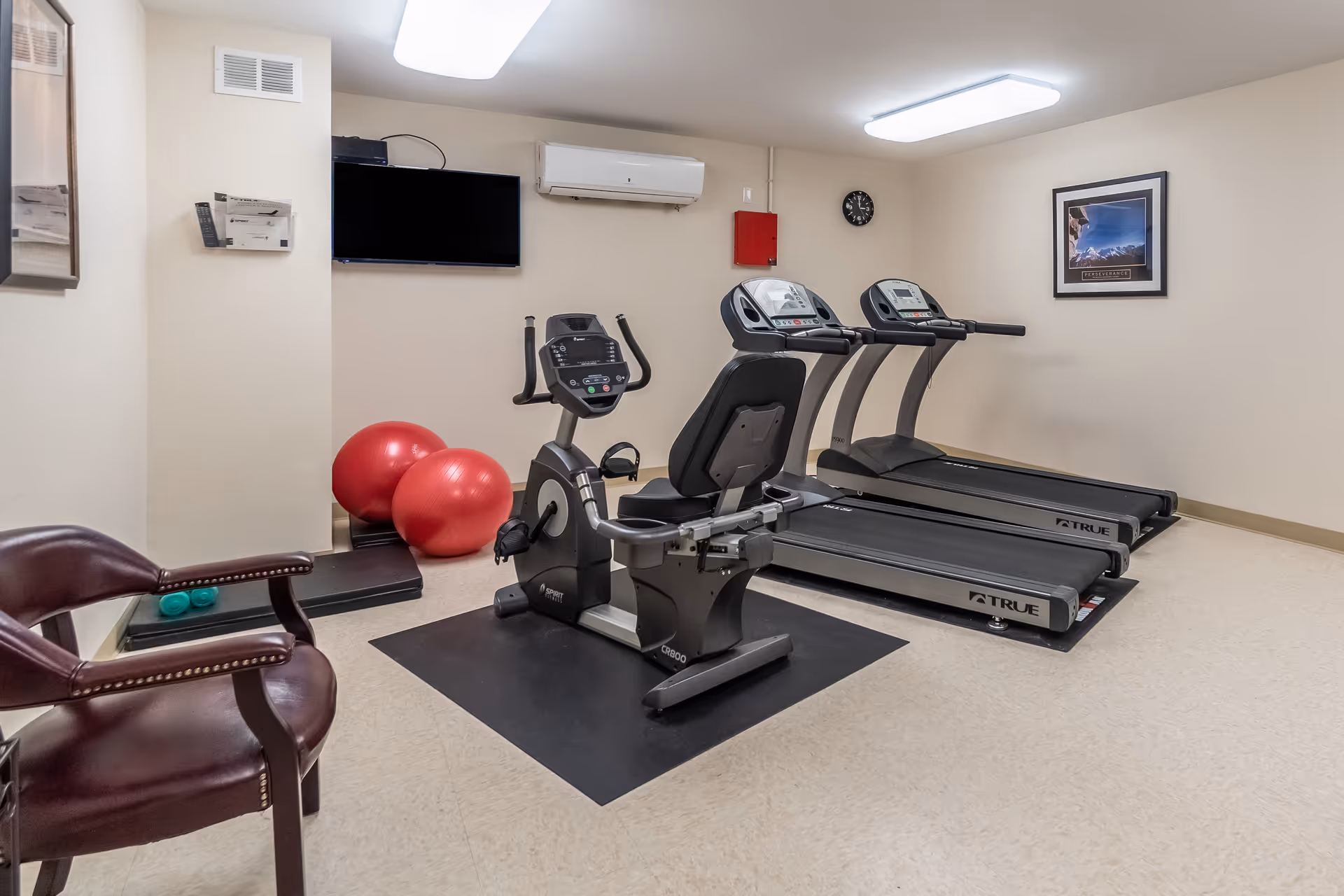 Interior fitness room with treadmills, a stationary bike, and exercise balls.