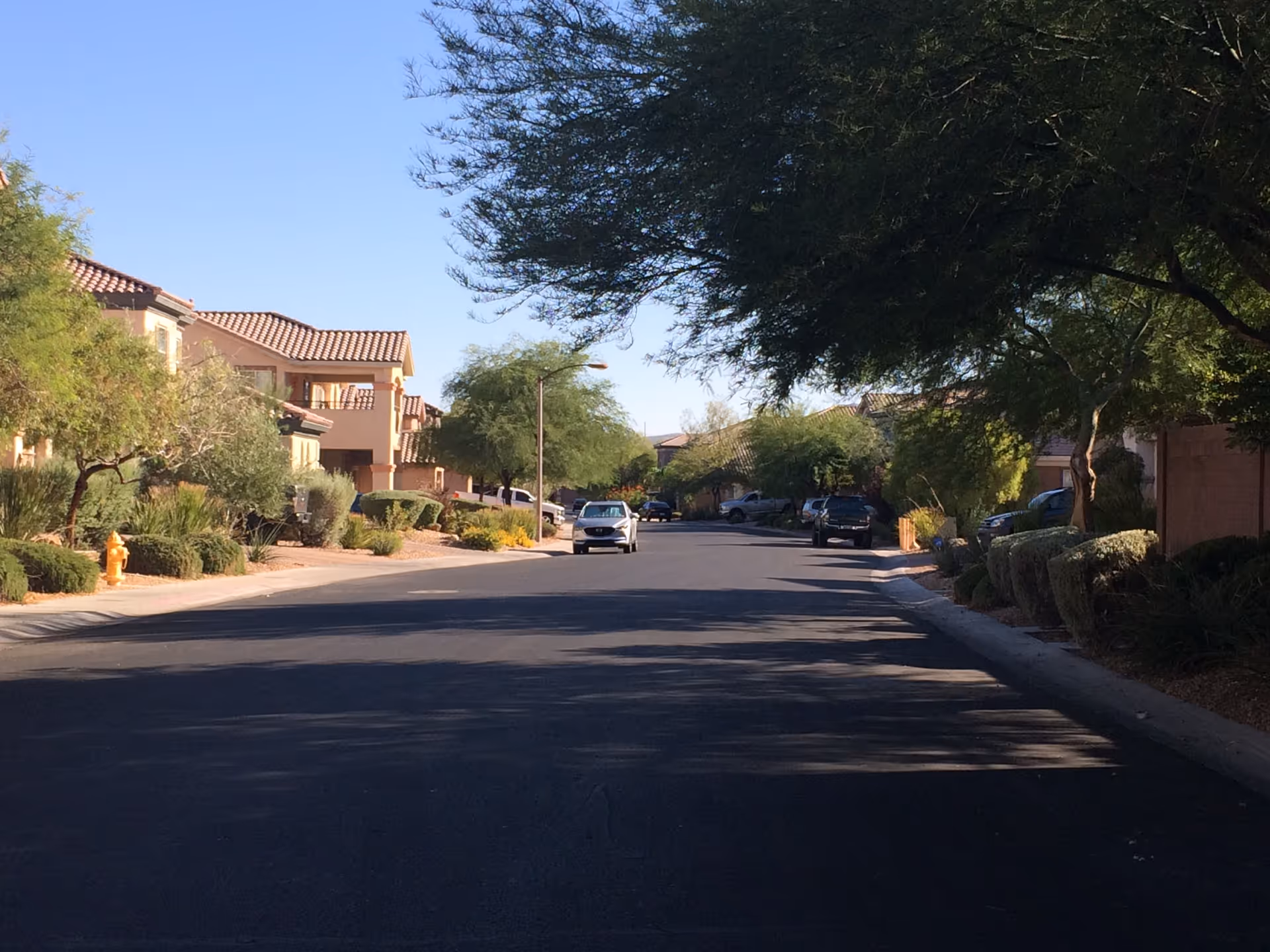 Quiet suburban street view of Serenity Living at Mountains Edge, with trees and parked cars.