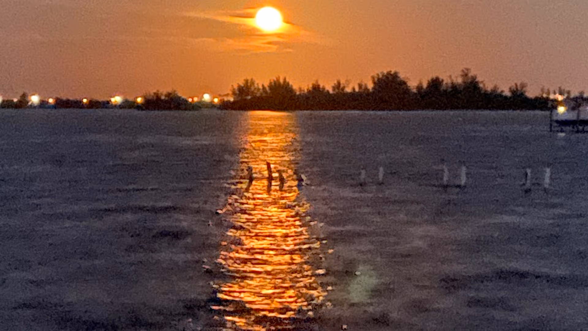 Sunset over calm water, reflecting light with a distant tree line on the horizon.