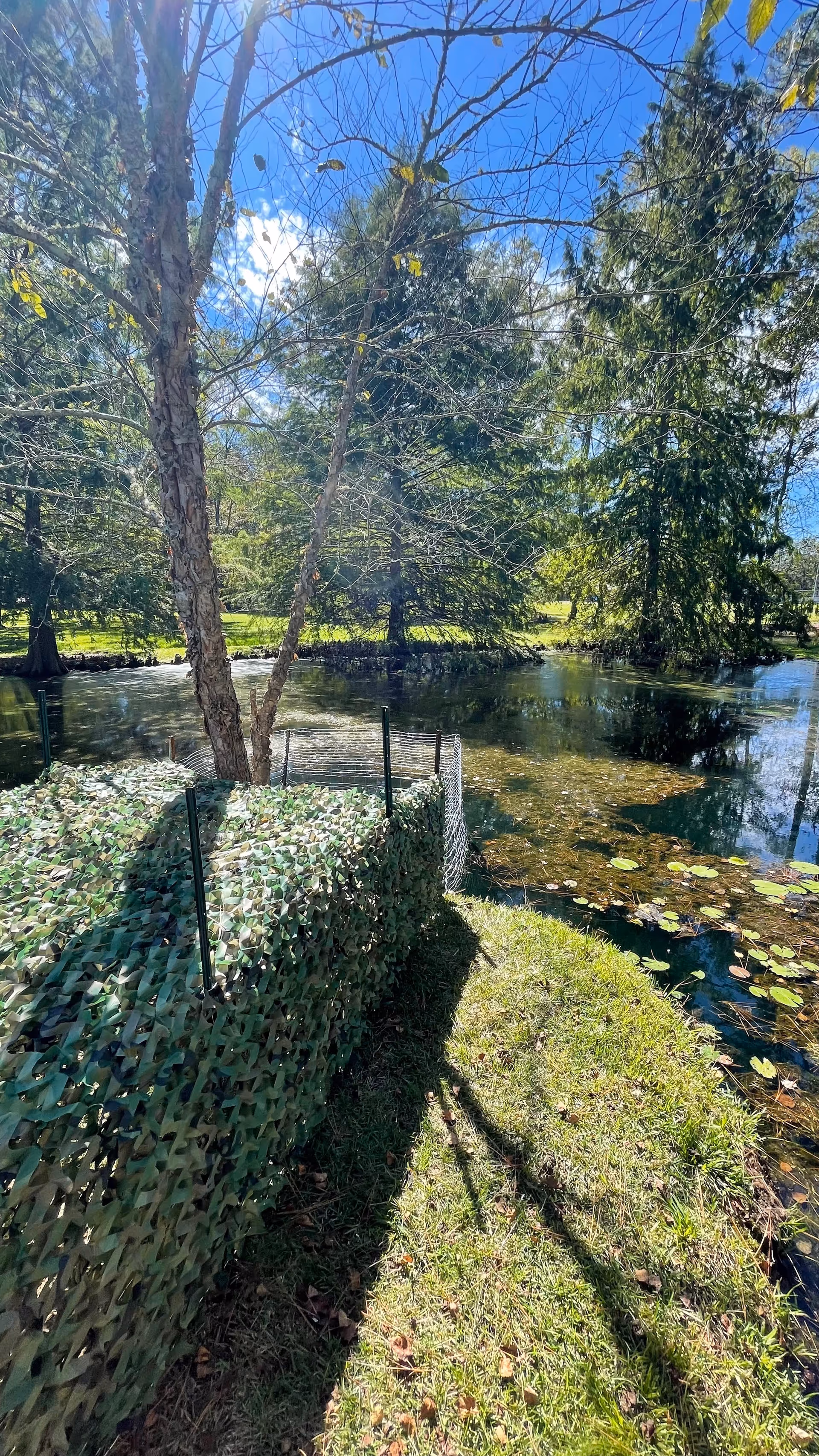 Lush outdoor scene with a pond, trees, and a green fence along the bank.
