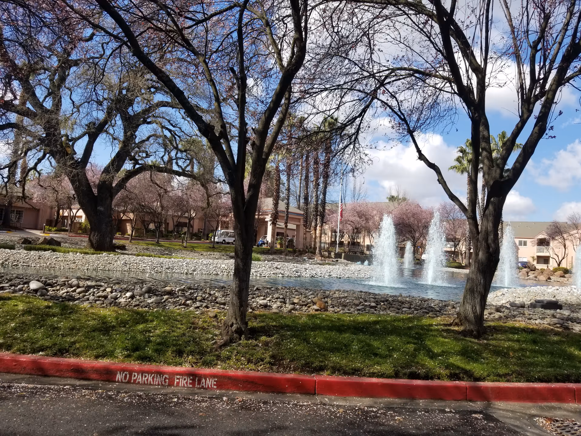 Front view of Eskaton Village Carmichael Care Center with fountain, trees, and flag in landscaped pond.