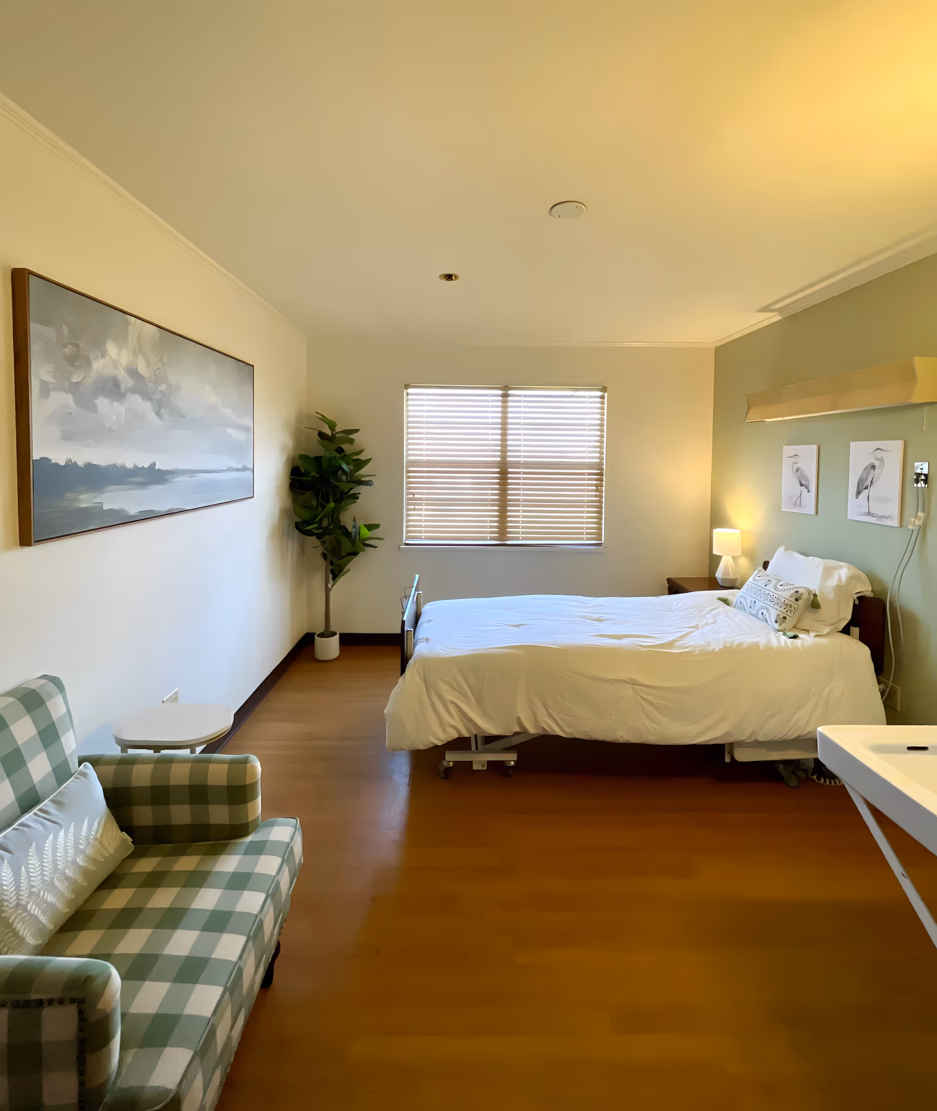Senior living facility bedroom with bed, green wall, plant, sofa, and window blinds.