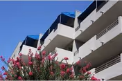 Modern multi-story senior living building with balconies and pink flowering trees in foreground.