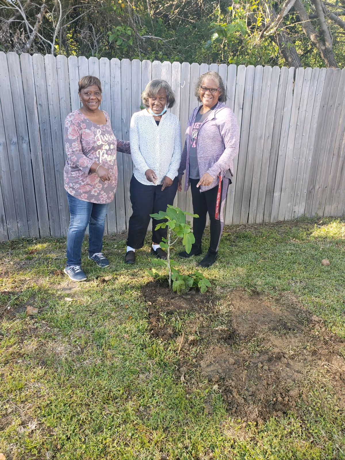 Three women standing outside on grass in front of a wooden fence, smiling and posing next to a newly planted small tree.