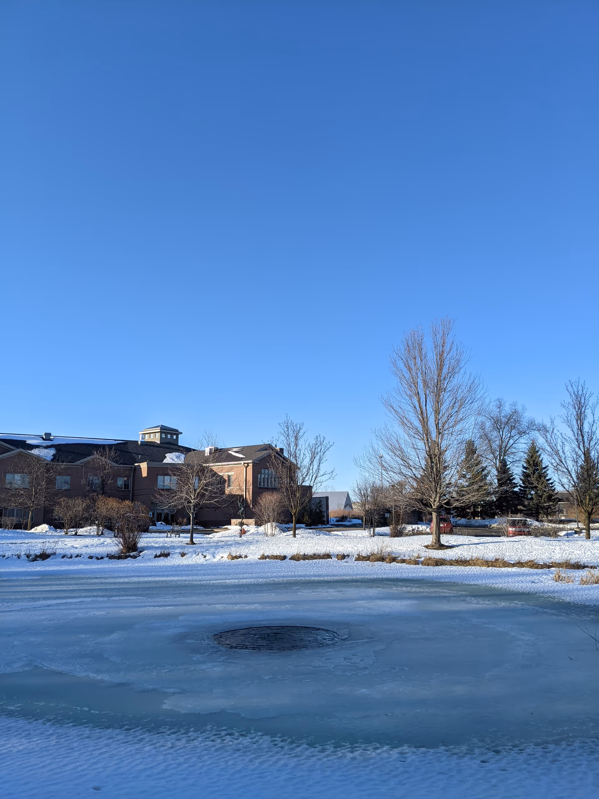Snow-covered Arbor Hospice grounds with bare trees and a circular ice feature in foreground.